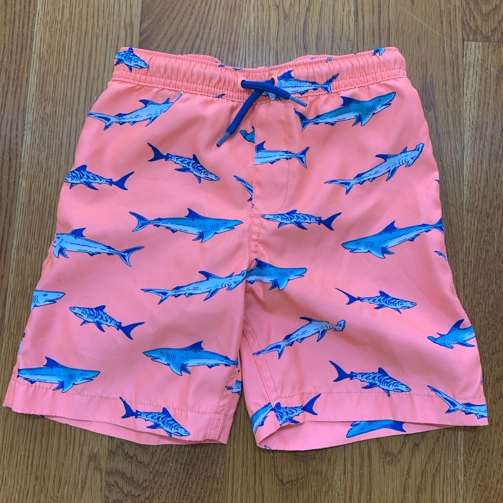 Lands End Boys Shark Swim Trunks (7)